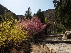 -北京鹫峰国家森林公园