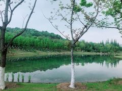 -苏州清山会议中心