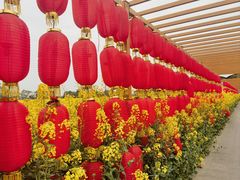 -中国天府农业博览园