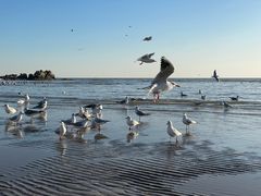 -老虎石海上公园