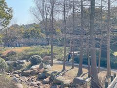 -宝界山林公园