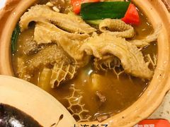 萝卜炆牛肚-点都德(大茶楼店)