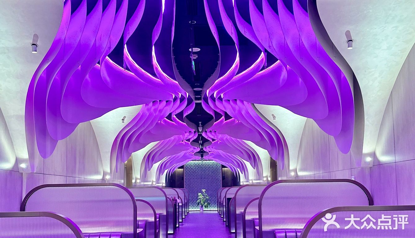 去过的朋友都说好｜终于开到杨浦啦[礼花]