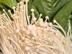-徐升记不改良老火锅(四方利群店)
