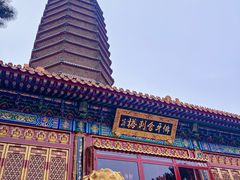 -八大处公园