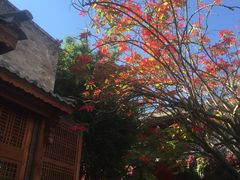 -南诏风情岛