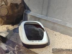 -昆明大悦城未来动物城(螺蛳湾中心店)