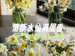 -溪岸路花鸟市场