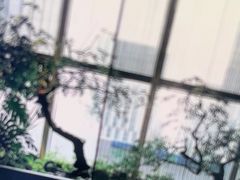 -海立阁海鲜江浙菜(漕河泾印象城店)