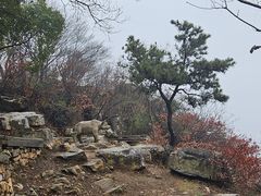 -虞山风景区