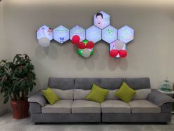 -莱可美科技美肤