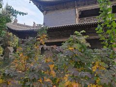 -张掖大佛寺景区