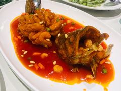 -蝶园·装修中(BFC外滩金融中心店)