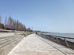 -瀛洲公园