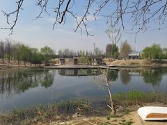-马家湾湿地公园