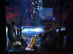 -沈阳海洋探索中心