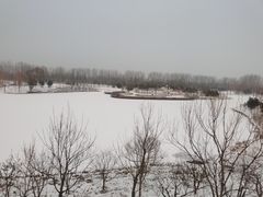 -东郊湿地公园