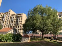 -中加枫华国际学校