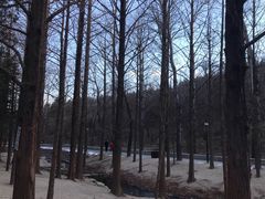 -白水寺森林公园