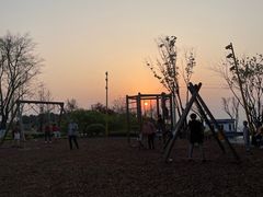 -铁山坪森林公园