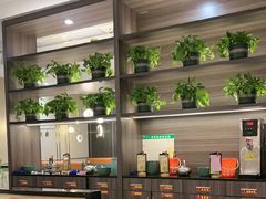 -刘胖子家常菜·蹄花焖藕(中南店)