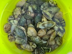 -东疆理想海岸沙滩景区