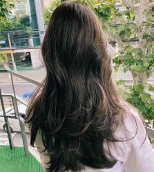 -THE LOG SALON 记录