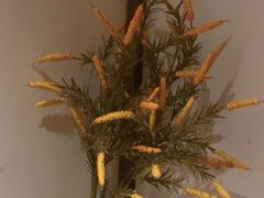 -沐善人家中医·推拿·理疗·三伏灸(新洲店)