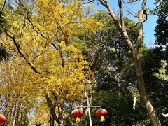 -九华山公园