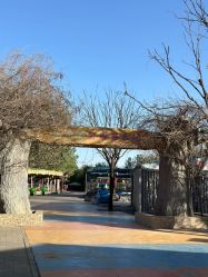 -大望京儿童游乐场