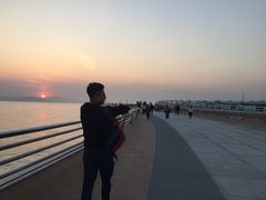 -猫咪博物馆(顶澳仔猫街店)