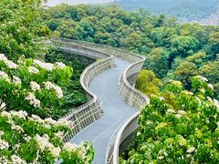 -福道