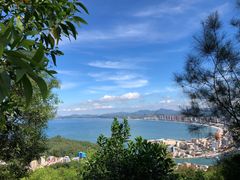 -广东惠东海龟国家级自然保护区