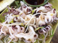 芥末海菊花-贞姨美食·老字号海鲜大排档