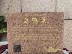 -白鹤梁水下博物馆