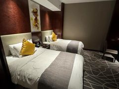 -常州环球恐龙城维景国际大酒店
