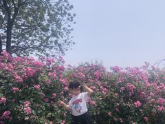 -尚贤河湿地