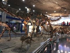 -国家自然博物馆