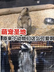 -酷嗒动物文化乐园(cutezoo西溪乐天城店)