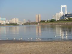 -台场海滨公园船码头