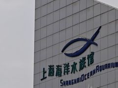 -上海海洋水族馆