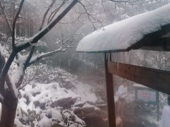 -江南天池高山汤泉城
