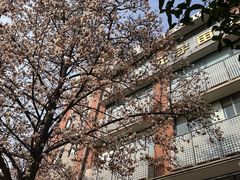-南京晨光1865创意产业园
