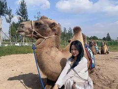 -鄂尔多斯野生动物园