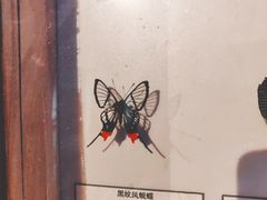 -中国湿地博物馆