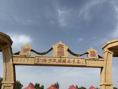 -金塔沙漠胡杨林景区