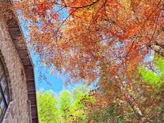 -莫干山风景区
