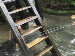 -黄龙溪古镇