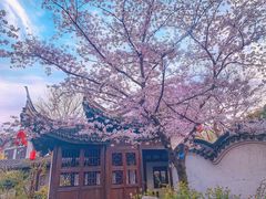 -巡塘古镇