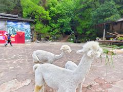 -昆明青龙峡风景区